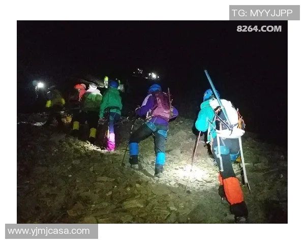 武汉攀岩队的防反策略揭秘：深度解析攀岩技术与团队协作之道